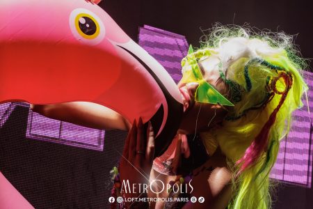 20260516-flamingo-20