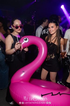 20260516-flamingo-22