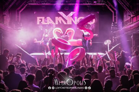 20260711-flamingo-01