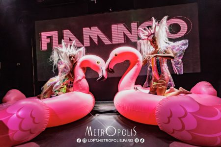 20260711-flamingo-42