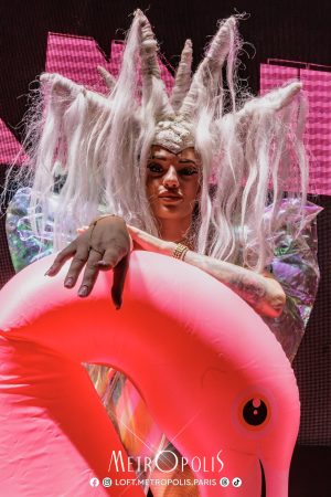 20260711-flamingo-45