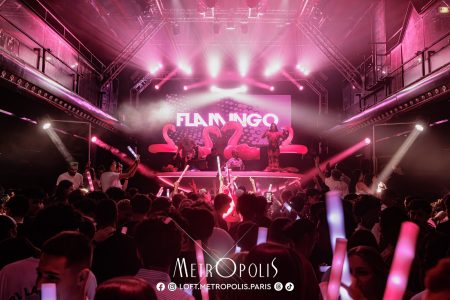 20260808-flamingo-38